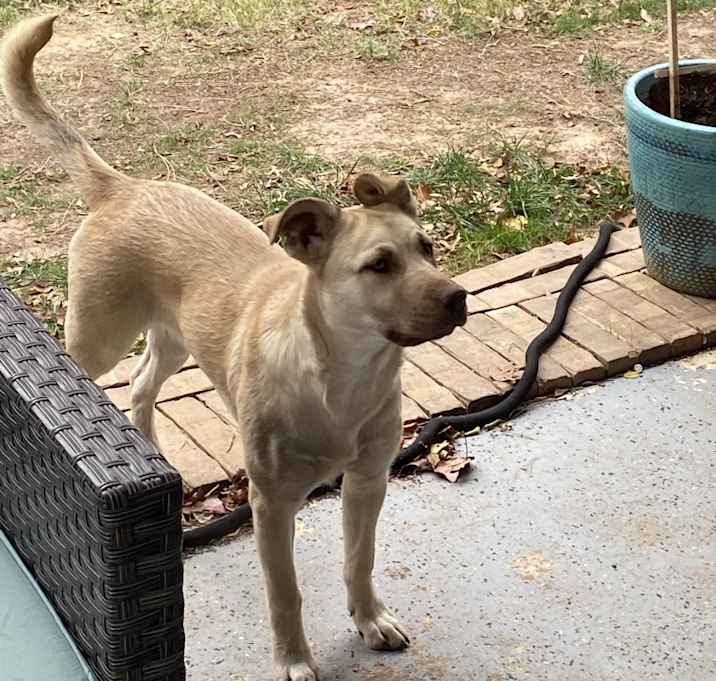 Photo of Hazel