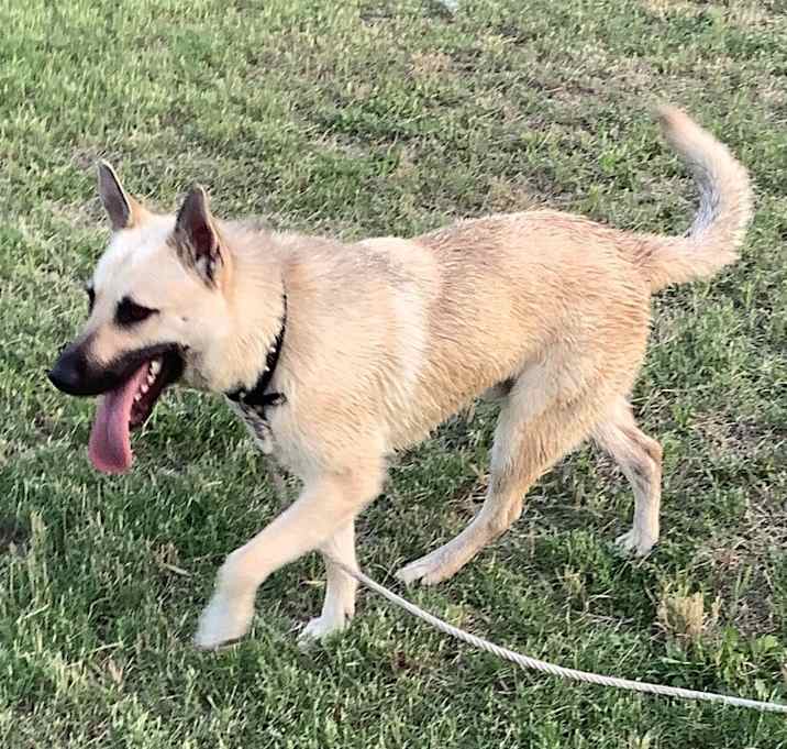 Photo of Coco