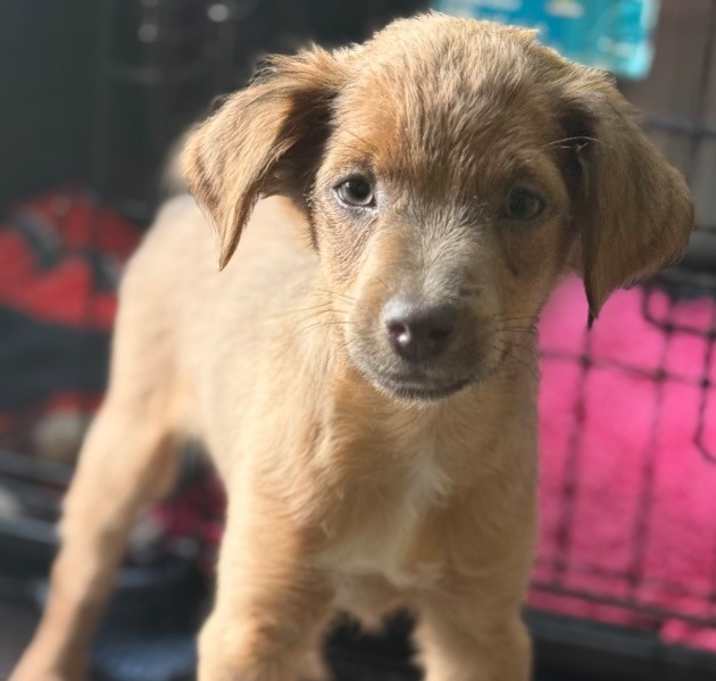 Photo of KIDDO