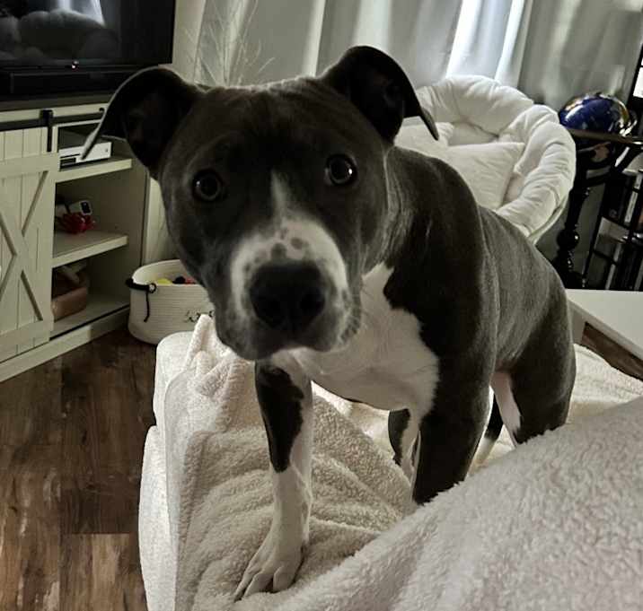 Photo of Veda