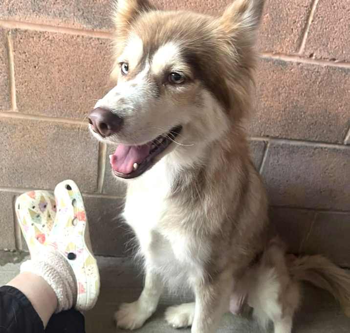 Photo of Smiley