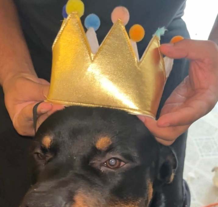 Photo of Ceasar