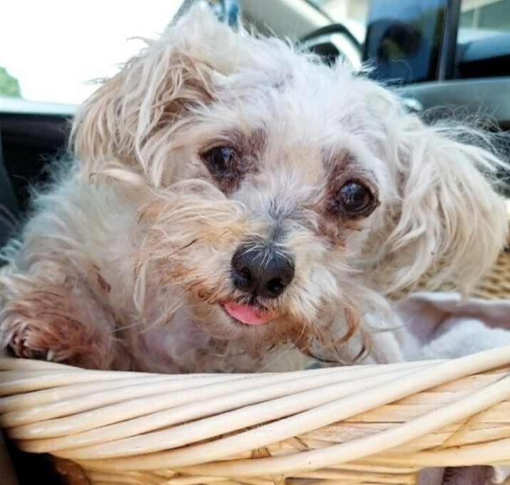 Photo of Monsi