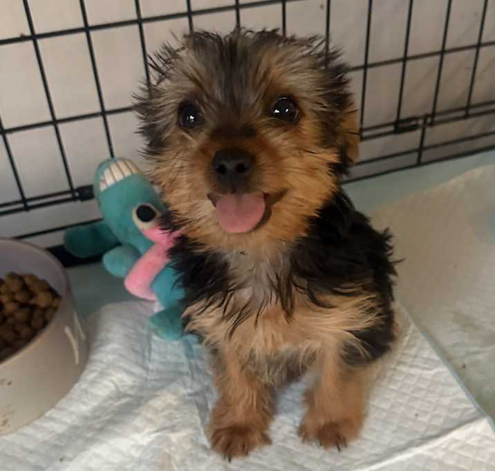 Photo of Hazel