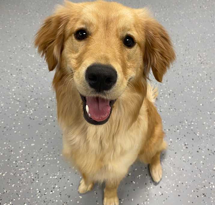 Photo of Libby