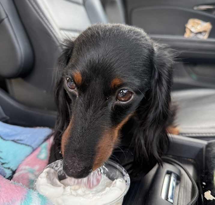 Photo of Banana