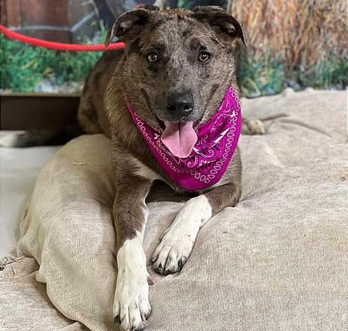 Photo of Cash