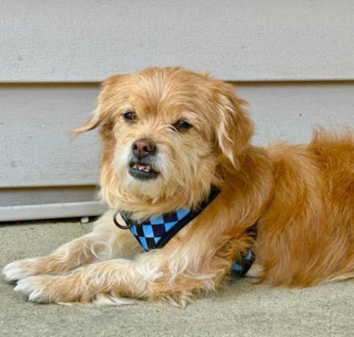 Photo of Maurice