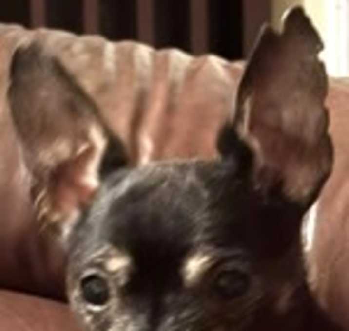 Photo of Theo