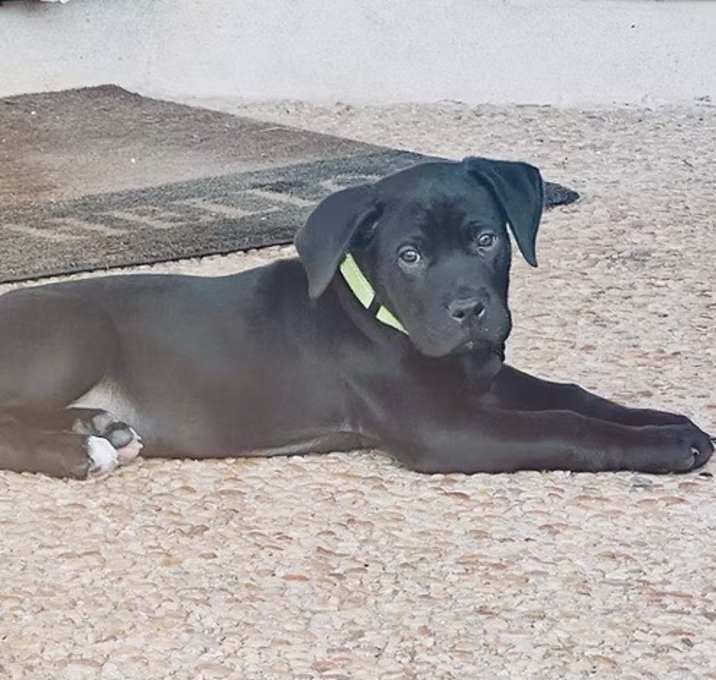 Photo of Zeus