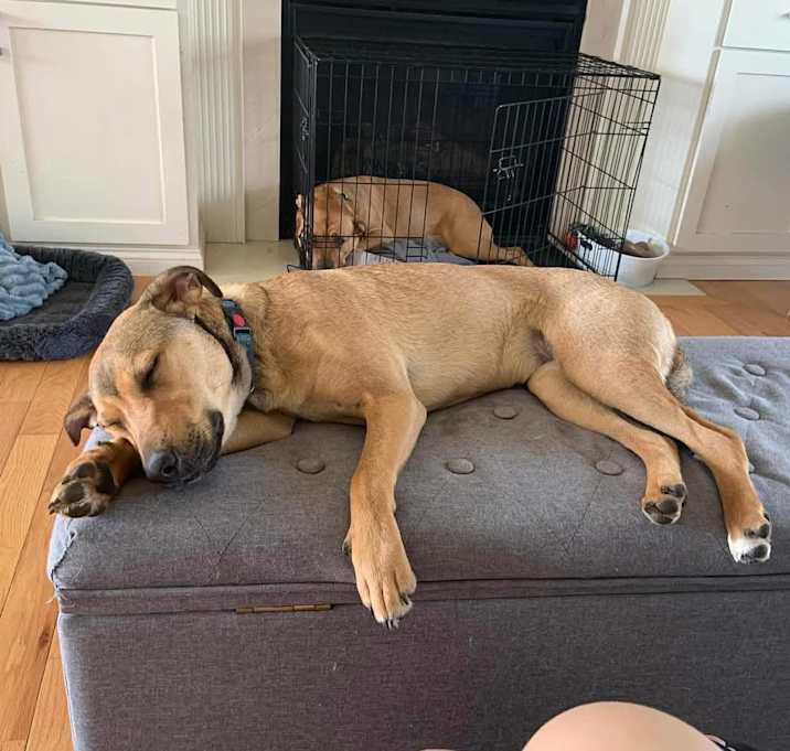 Photo of Jazzy Dean