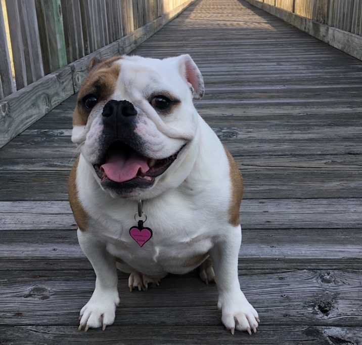 Photo of Lola