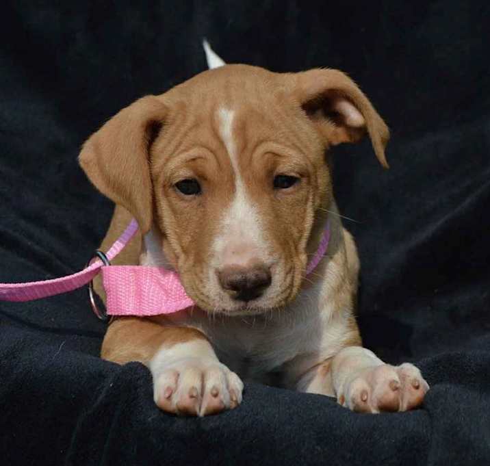Photo of ELSIE