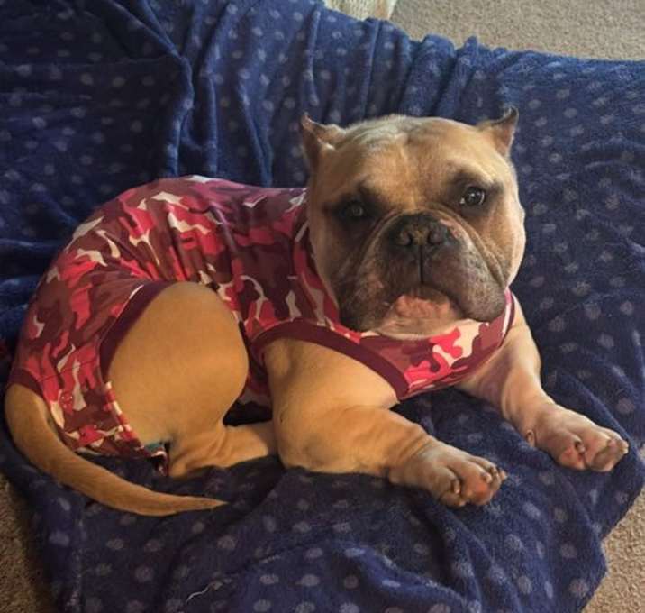Photo of Bentley