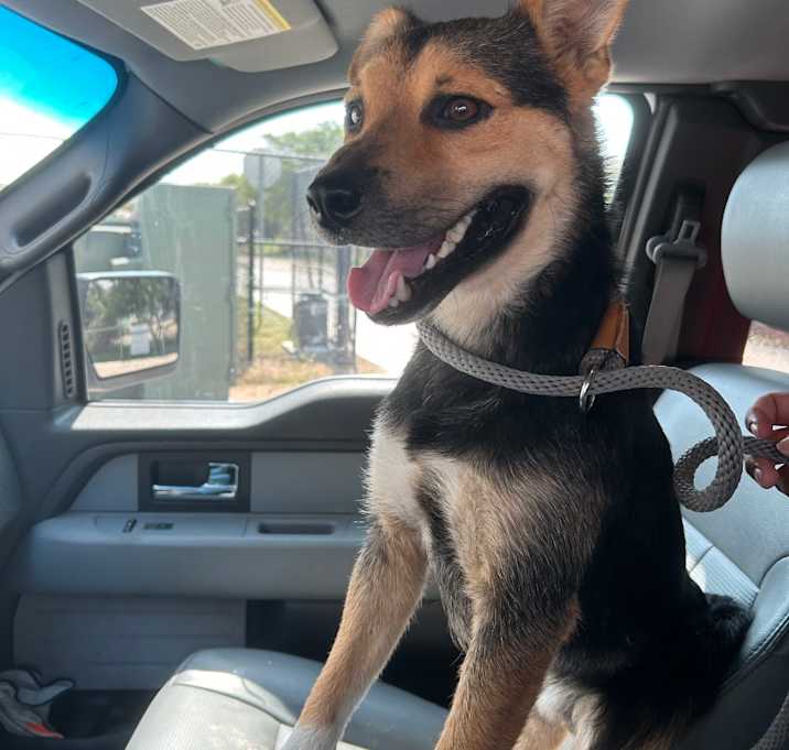 Photo of Axel