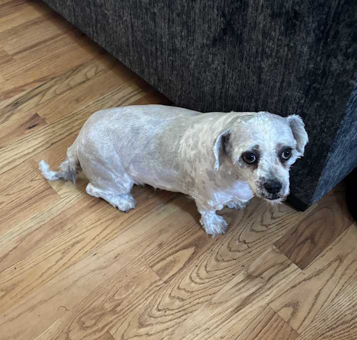 Photo of Popcorn
