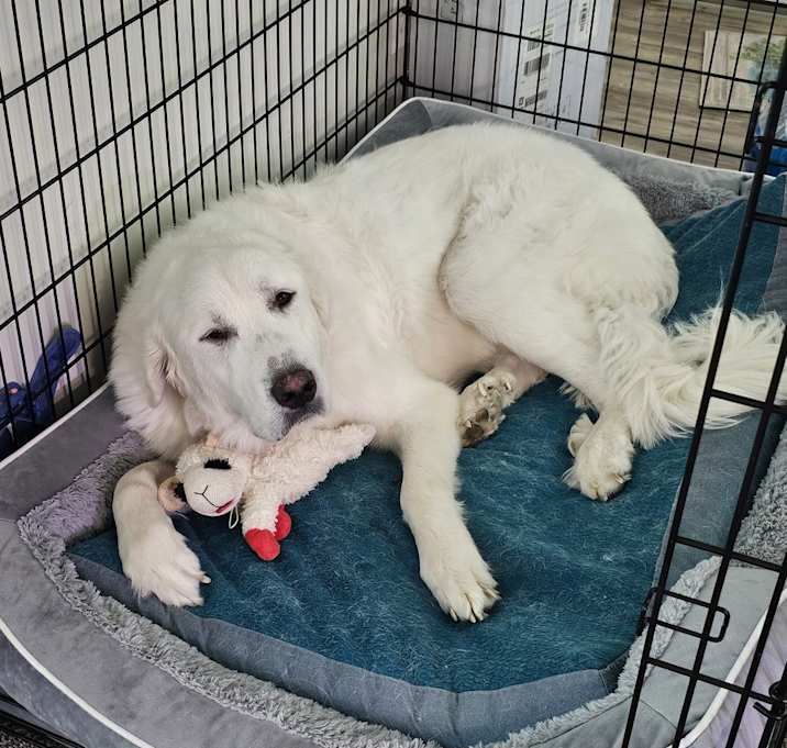 Photo of Maggie