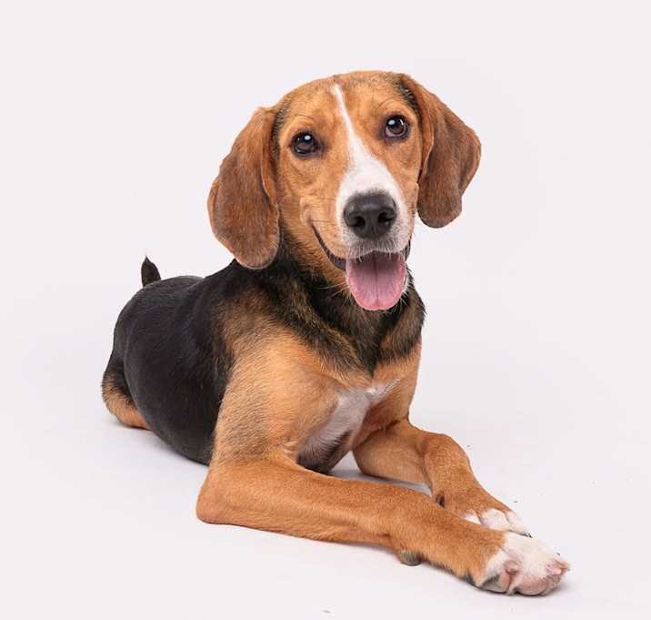 Photo of Sprinkle