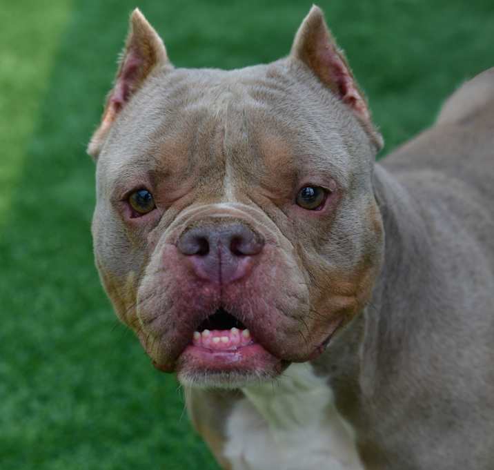 Photo of Peaches