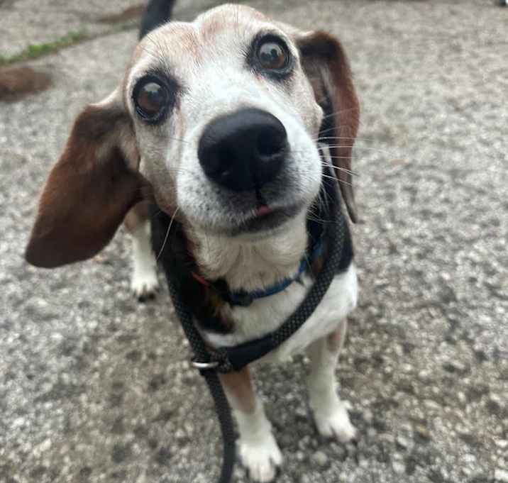 Photo of Mr Sonny 