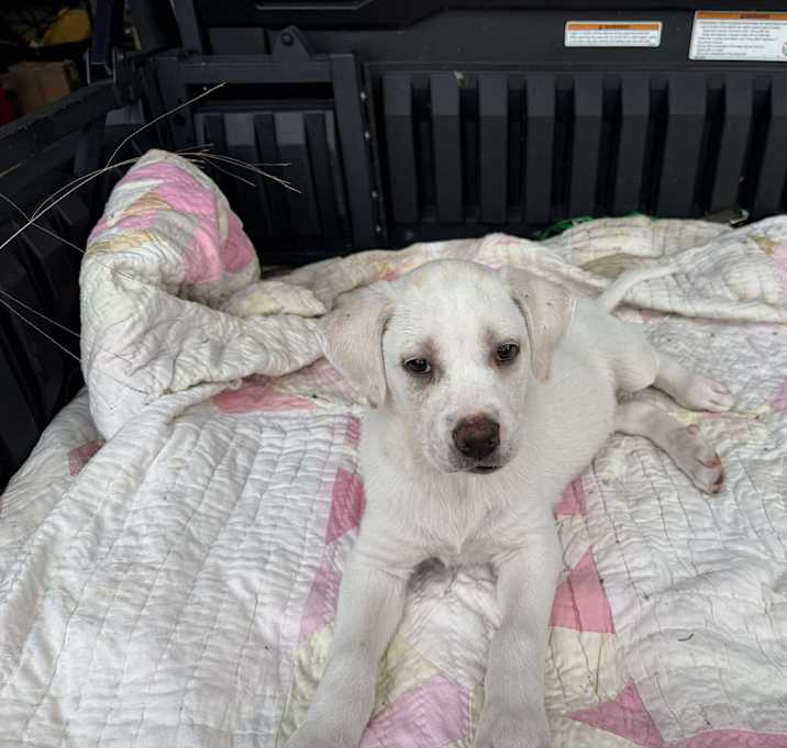Photo of Nigel