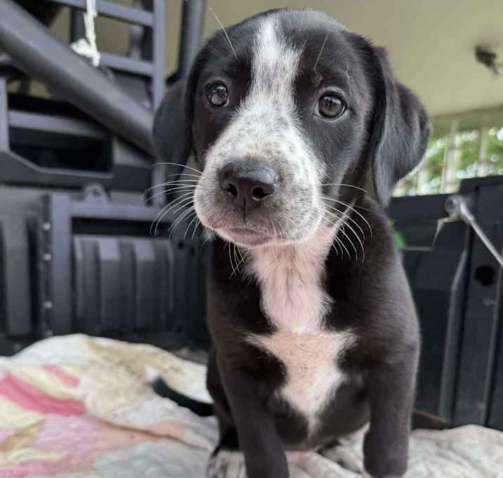 Photo of Nutella