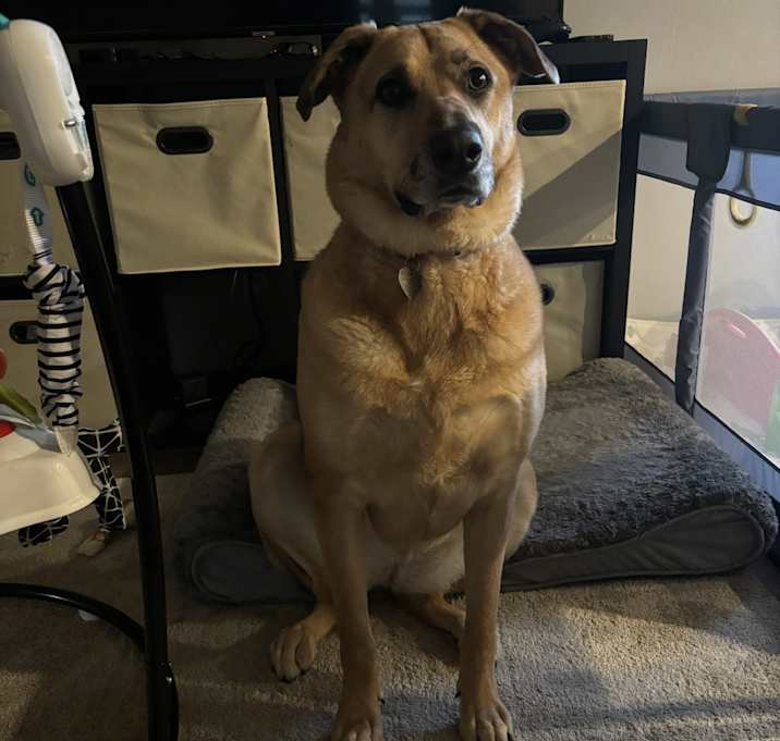 Photo of Layla