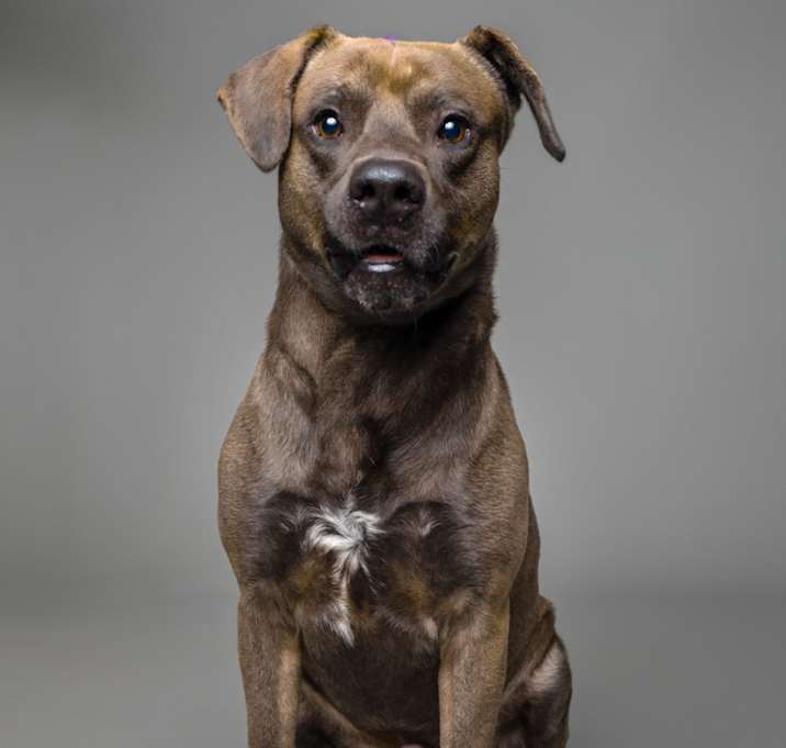 Photo of Gunner Smith
