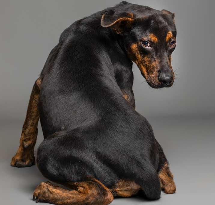 Photo of  Jar Jar Binks