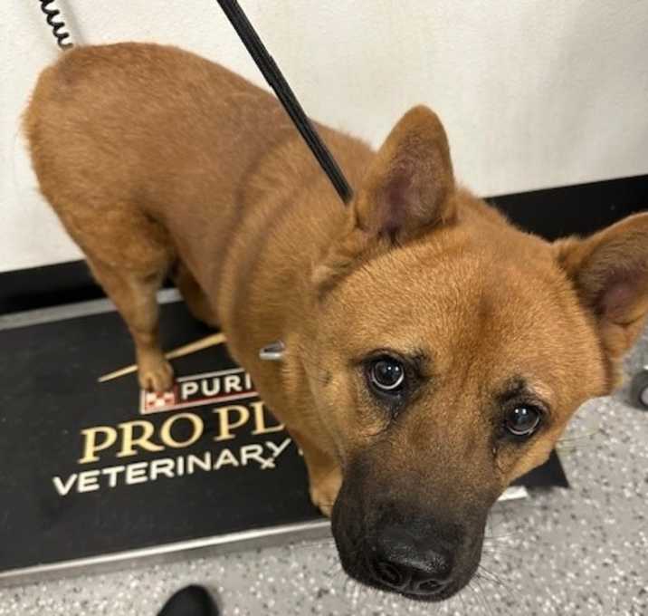Photo of Gigi