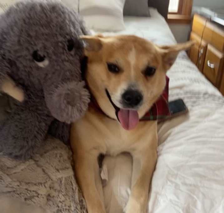 Photo of Winnie