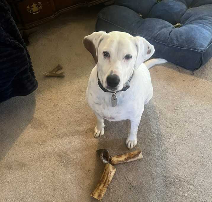Photo of Duncan