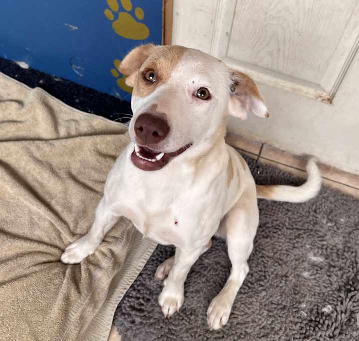 Photo of Zoe