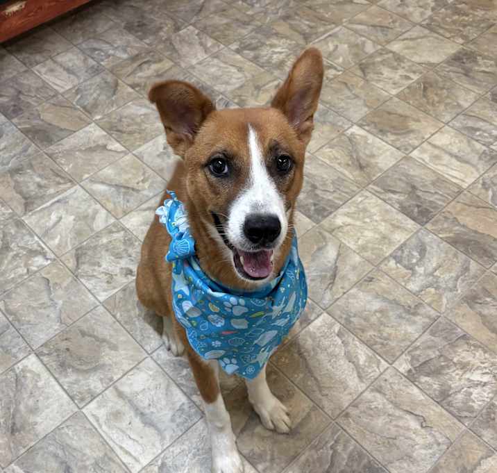 Photo of Axle