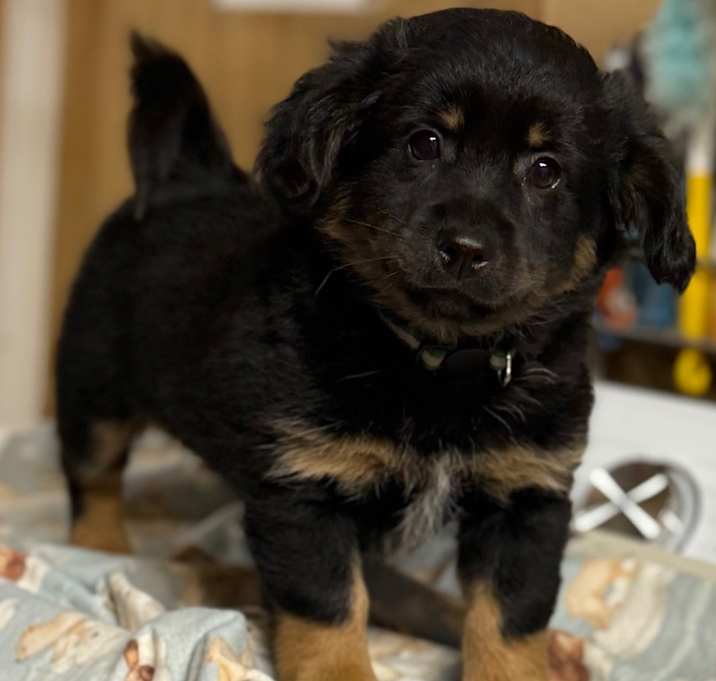 Photo of Cash