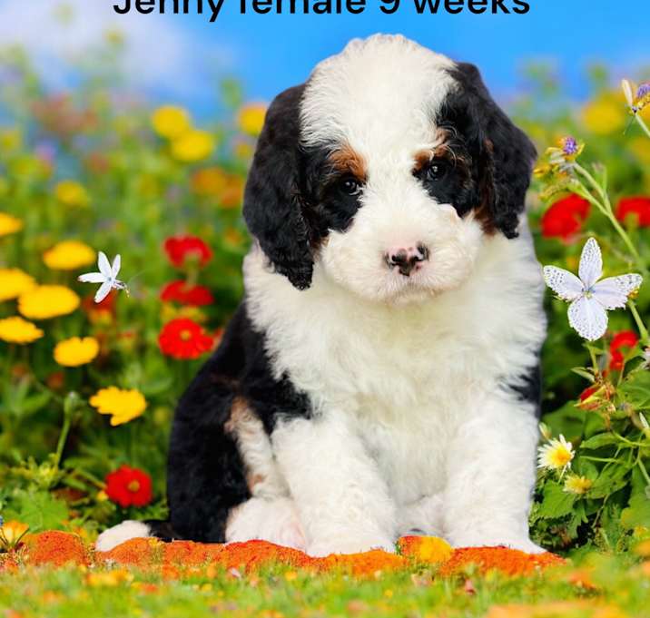 Photo of Jenny