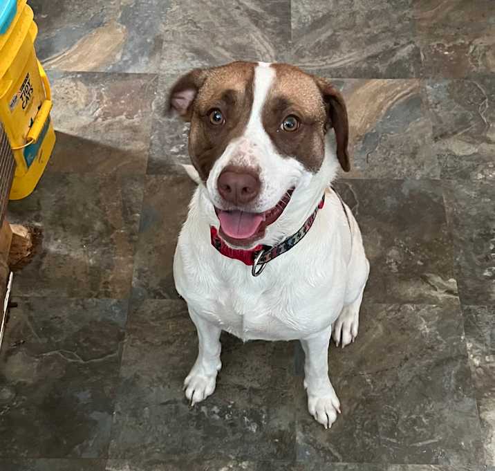 Photo of Annabelle
