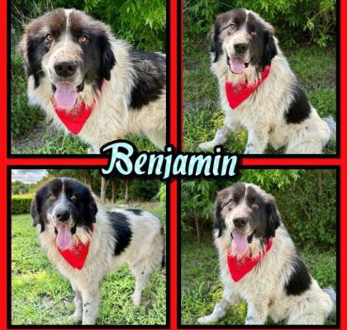 Photo of Benjamin
