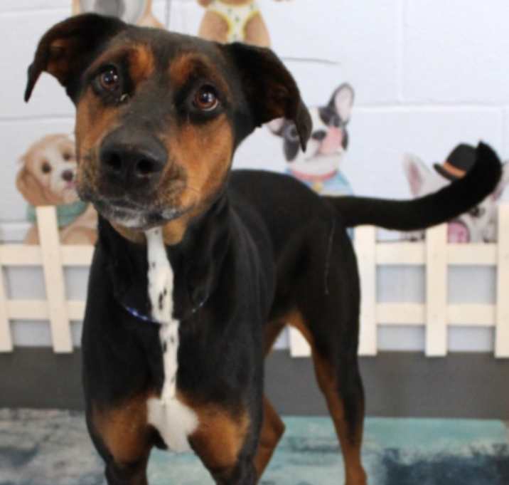 Photo of Precious URGENT HELP NEEDED!