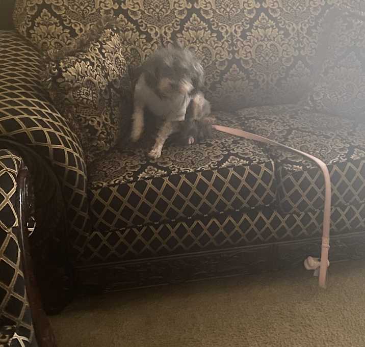 Photo of Charlene
