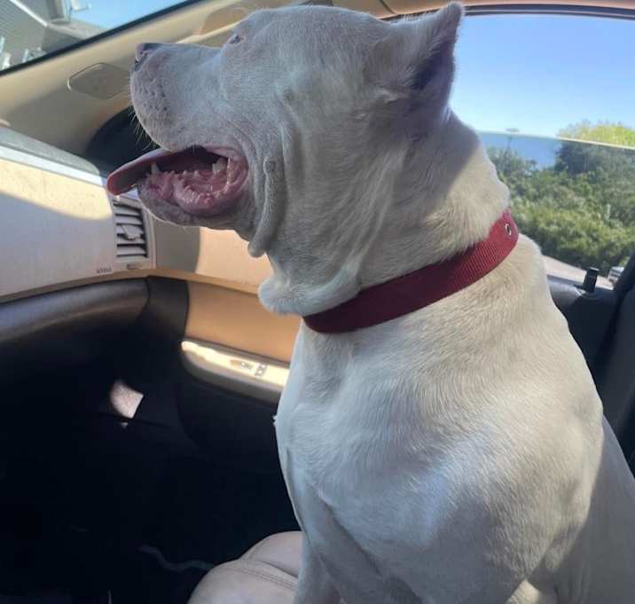 Photo of KILO