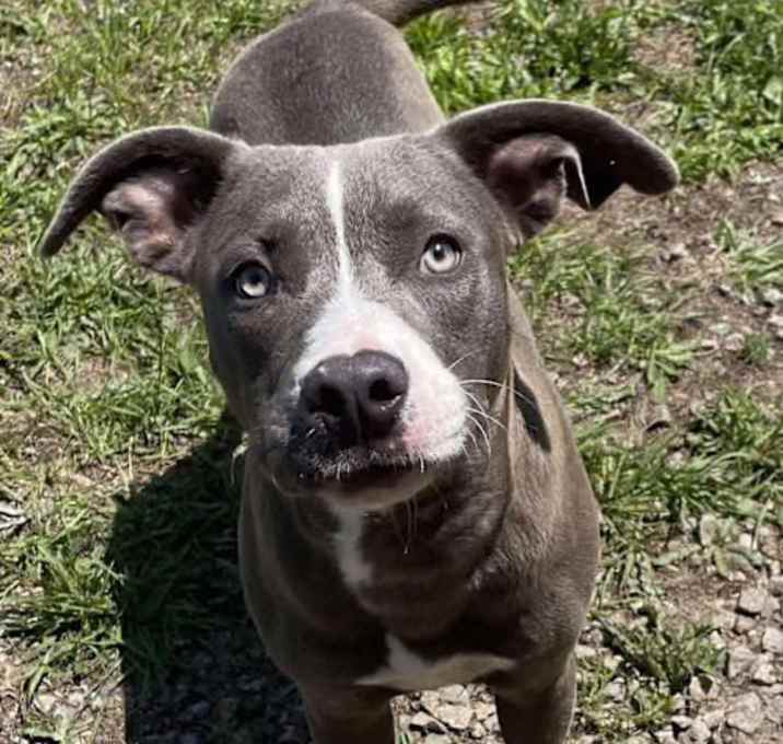 Photo of WAYLEN/URGENT