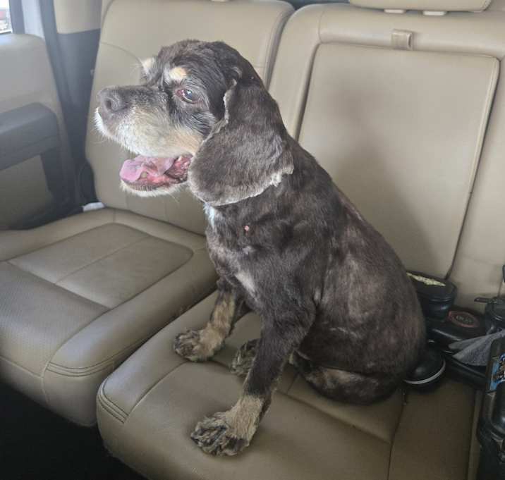 Photo of Coco