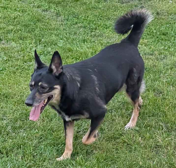 Photo of Max