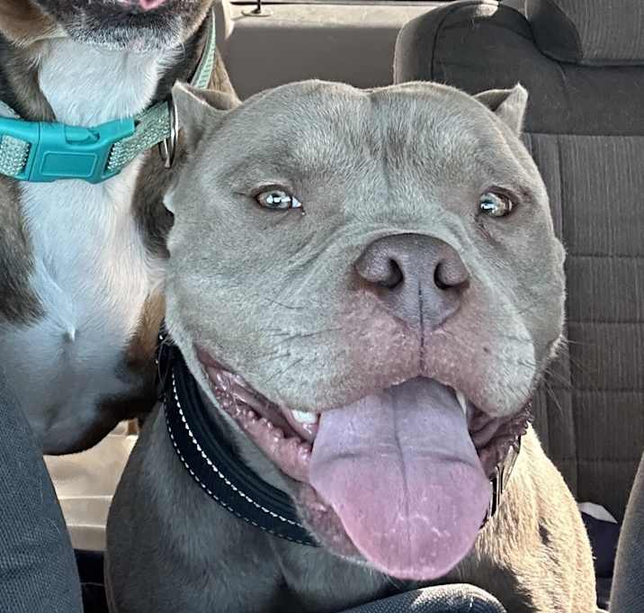 Photo of Rosko