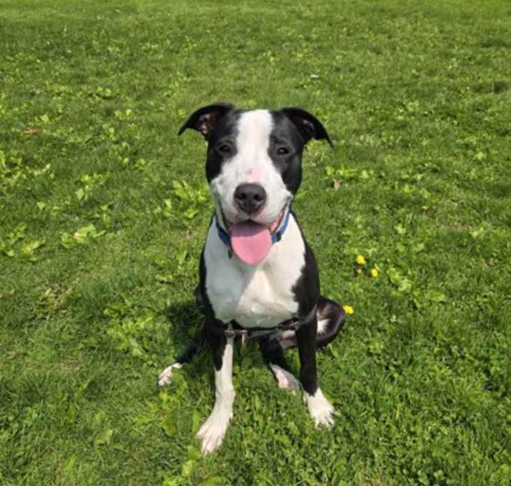 Photo of Molly