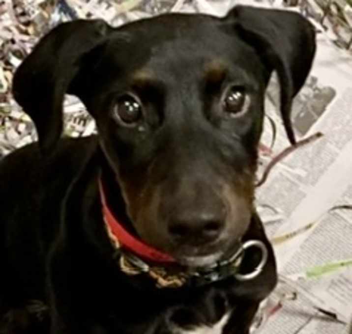 Photo of Lucy