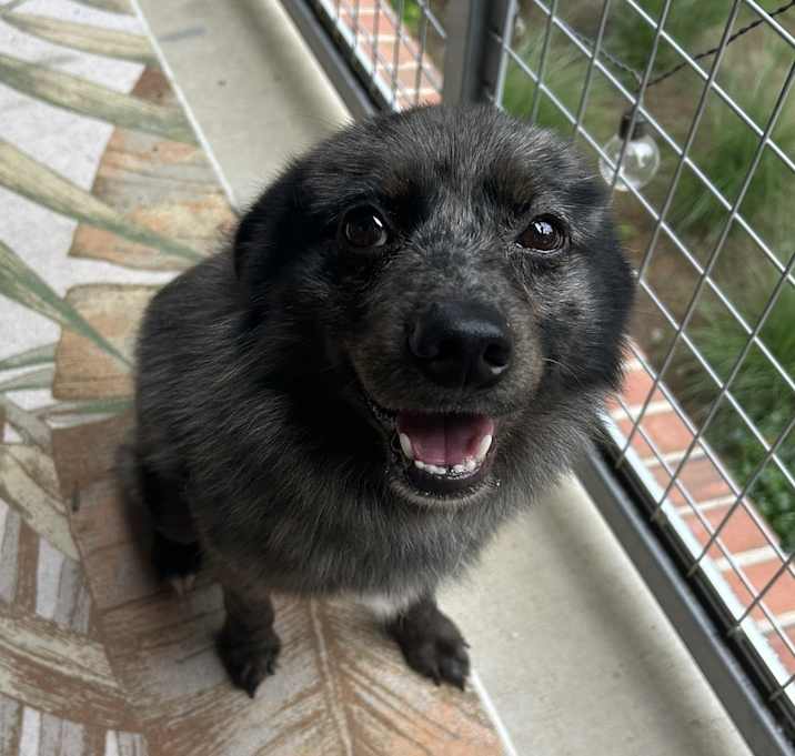 Photo of Jack Jack