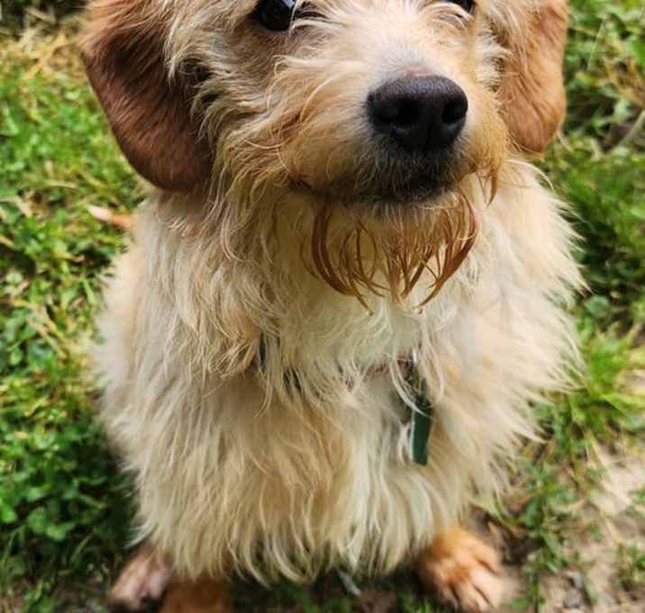 Photo of Rocky