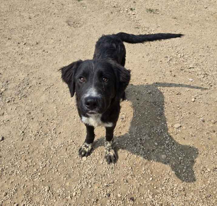 Photo of Eros